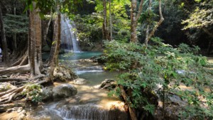 falls_river_current_vegetation_trees_bushes_shadow_stones_roots_streams_61491_1920x1080